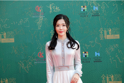 《大夏宝藏》亮相2017首届中国银川互联网电影节开幕式红毯